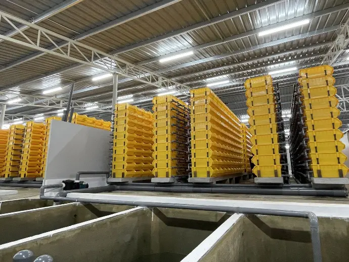 Aquaculture vertical farming malaysia